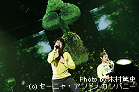 yuzu-4