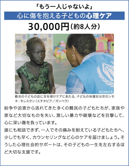 心に傷を抱える子どもの心理ケア 30,000円（約8人分）