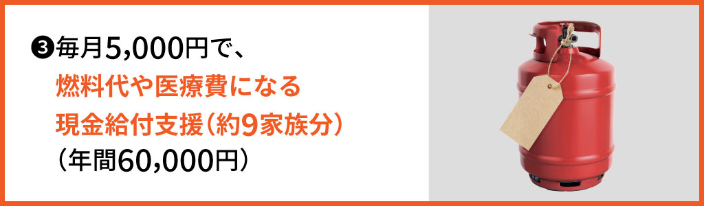 ?毎月5,000円で、燃料代や医療費になる現金給付支援（約9家族分）（年間60,000円）  